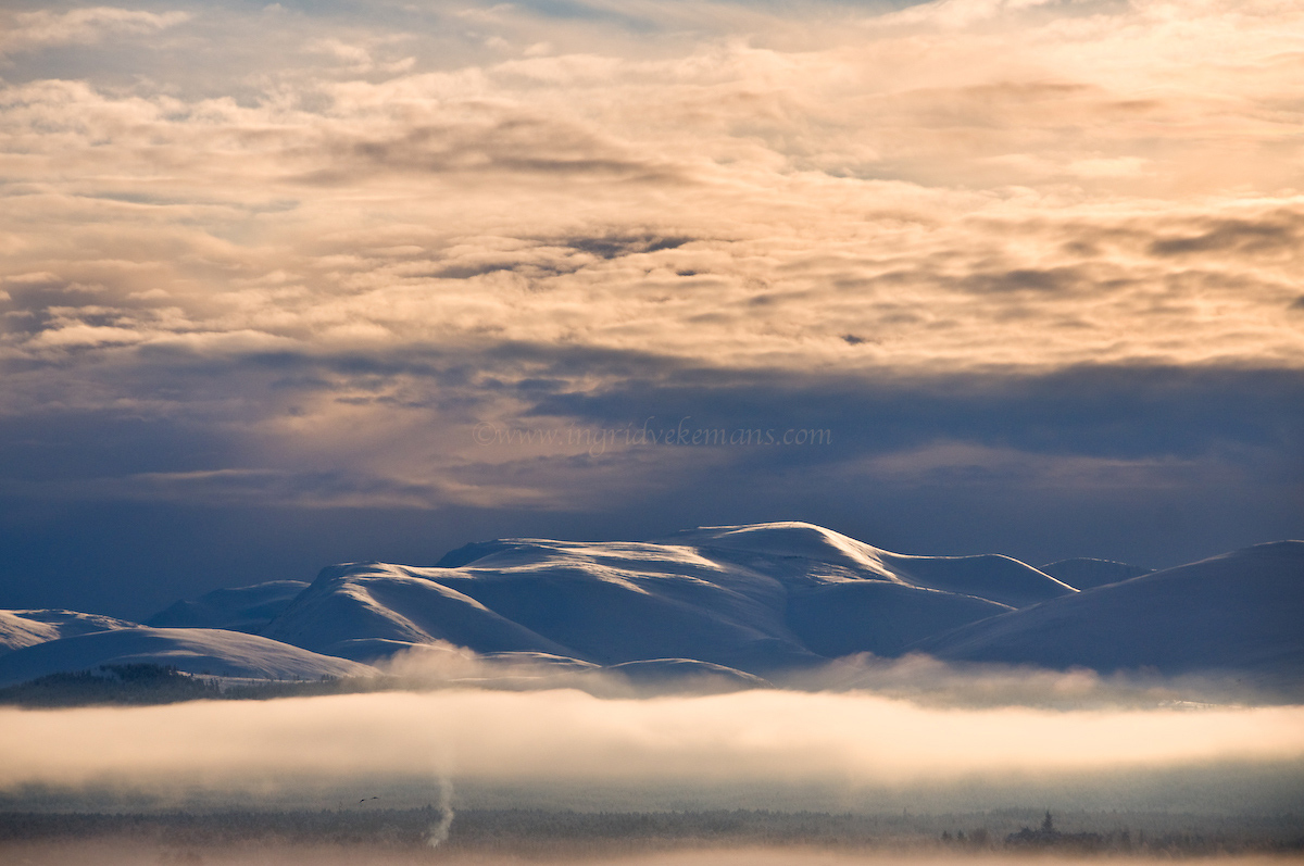 Cairngorms Winter Scene
