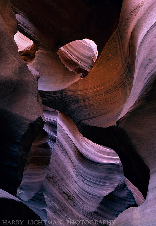 Canyon Specter