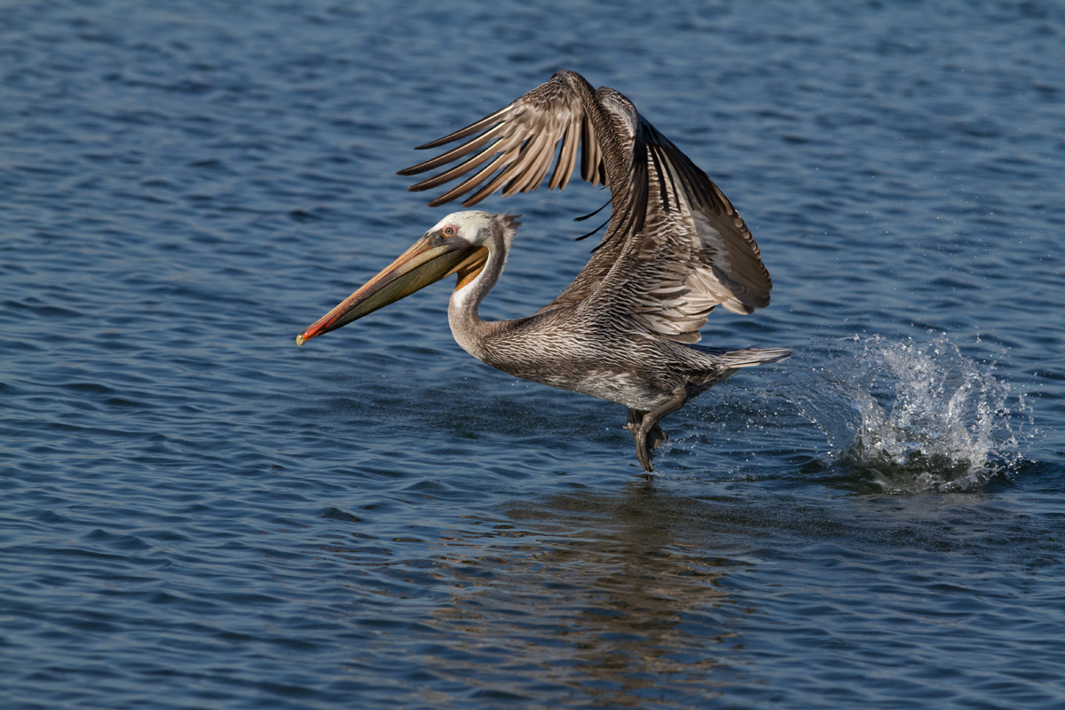 Take Off