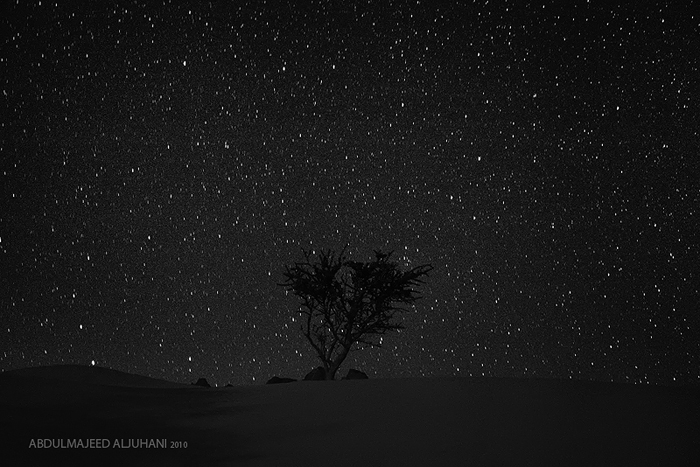 Under The Stars