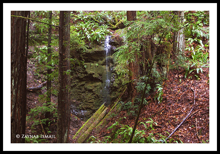 Little Falls