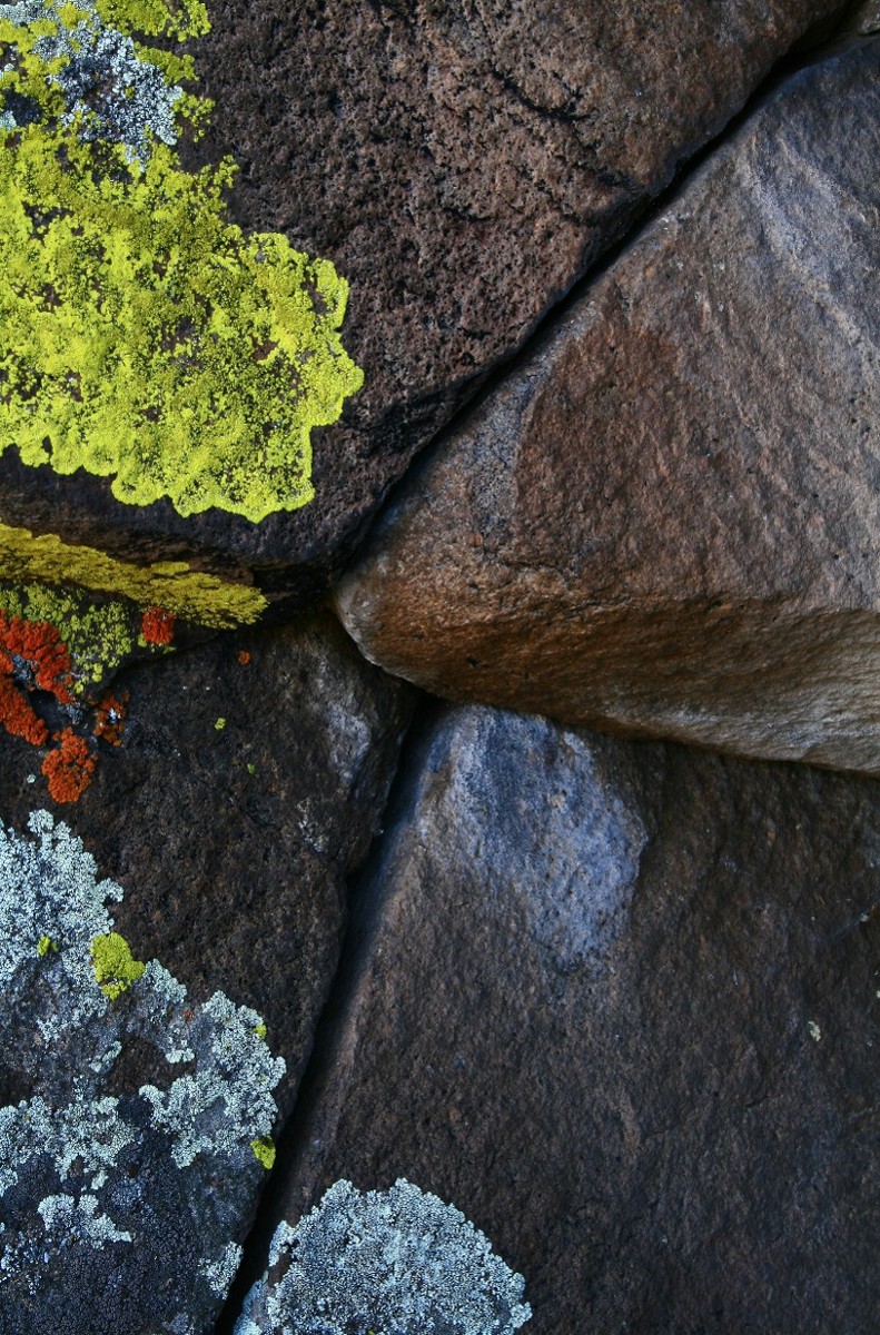 Rocks and Lichen