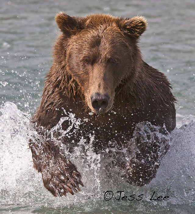 Fly Fishing