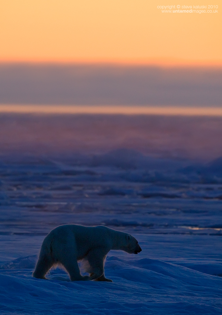 The Shortest Day