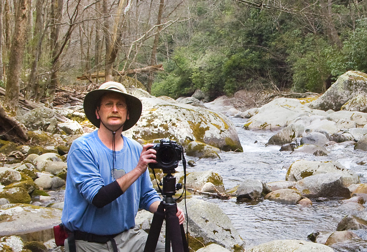 On Big Creek GSMNP