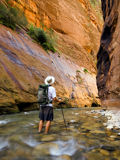 Wading the Zion Narrows