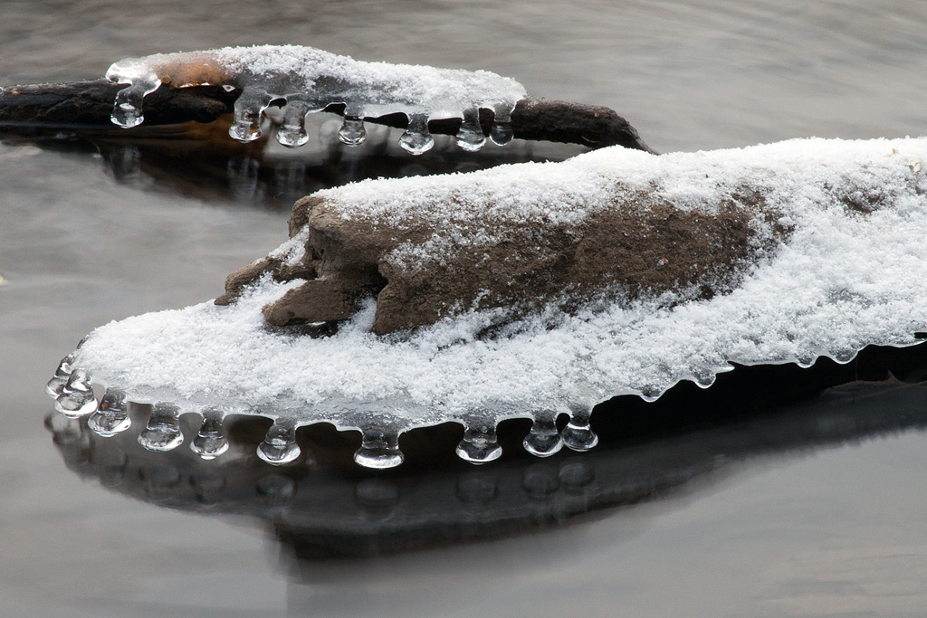 Frozen Toes