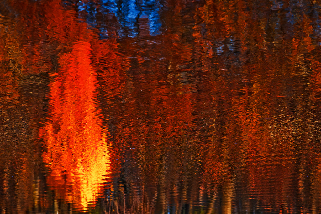Autumn Impression