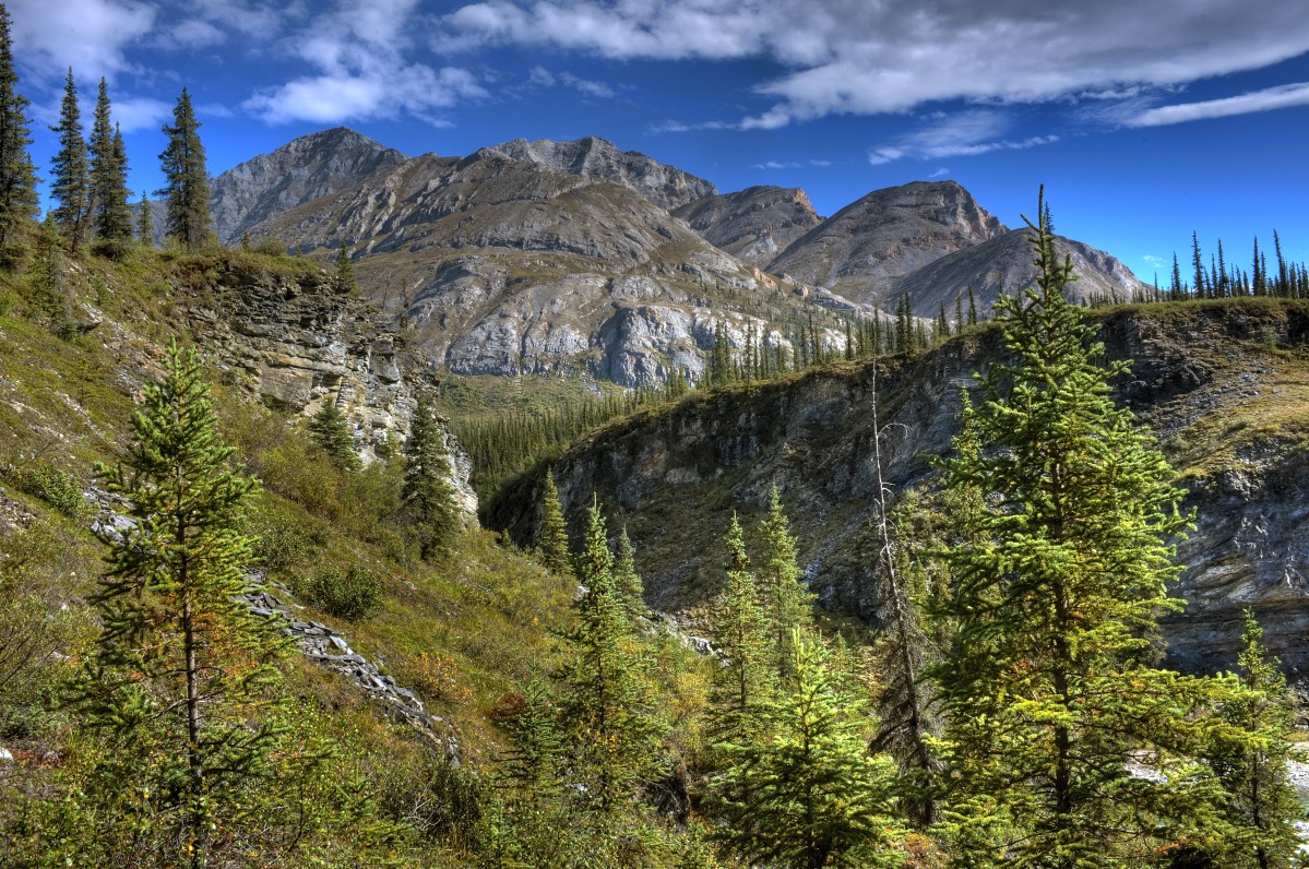 Matthews River Mounntain