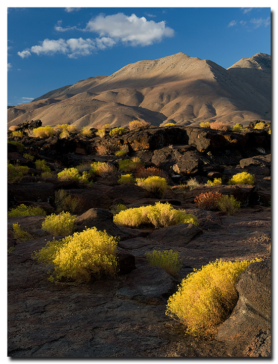 Fossil Falls...