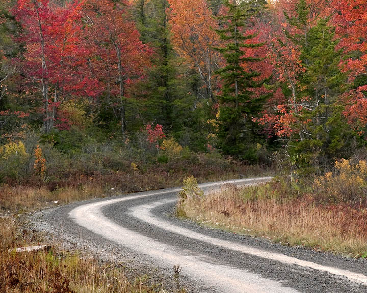 West Virginia Fall
