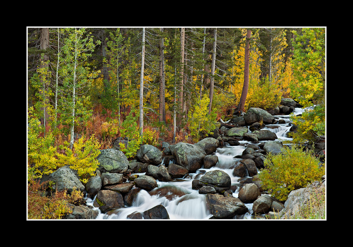 Autumn Cascades