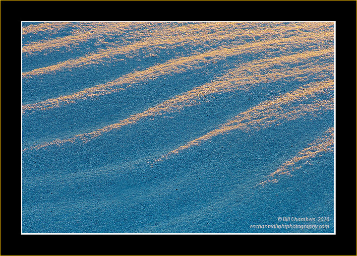 WC # 463 - Sand Ripples