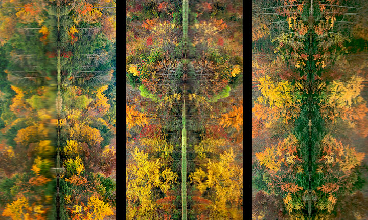 ReflectionTriptych