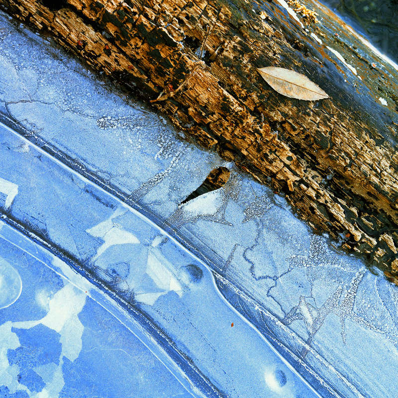 A log in the ice