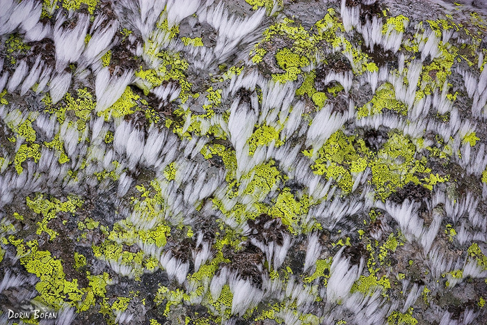 Ice needles