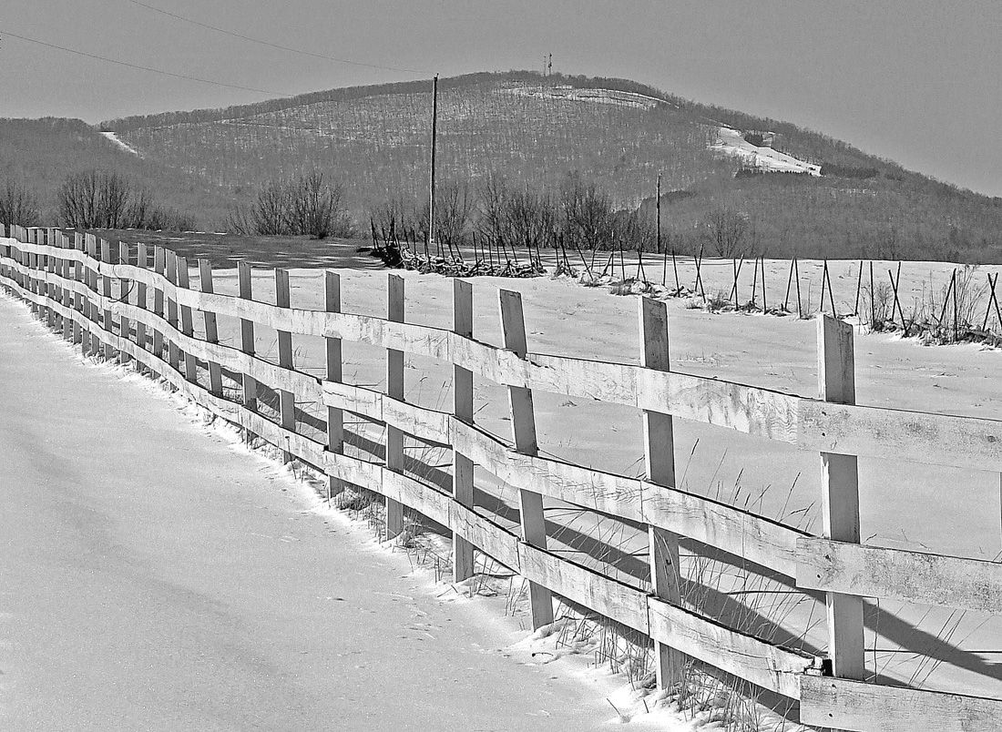 The Fence Line