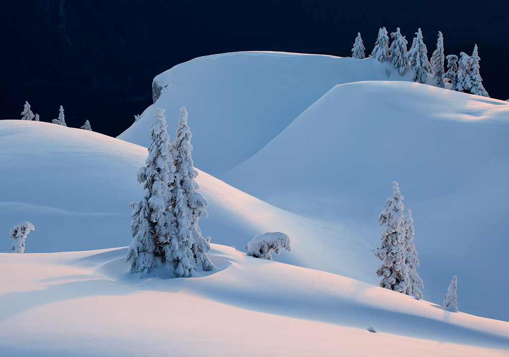 Quiet Light