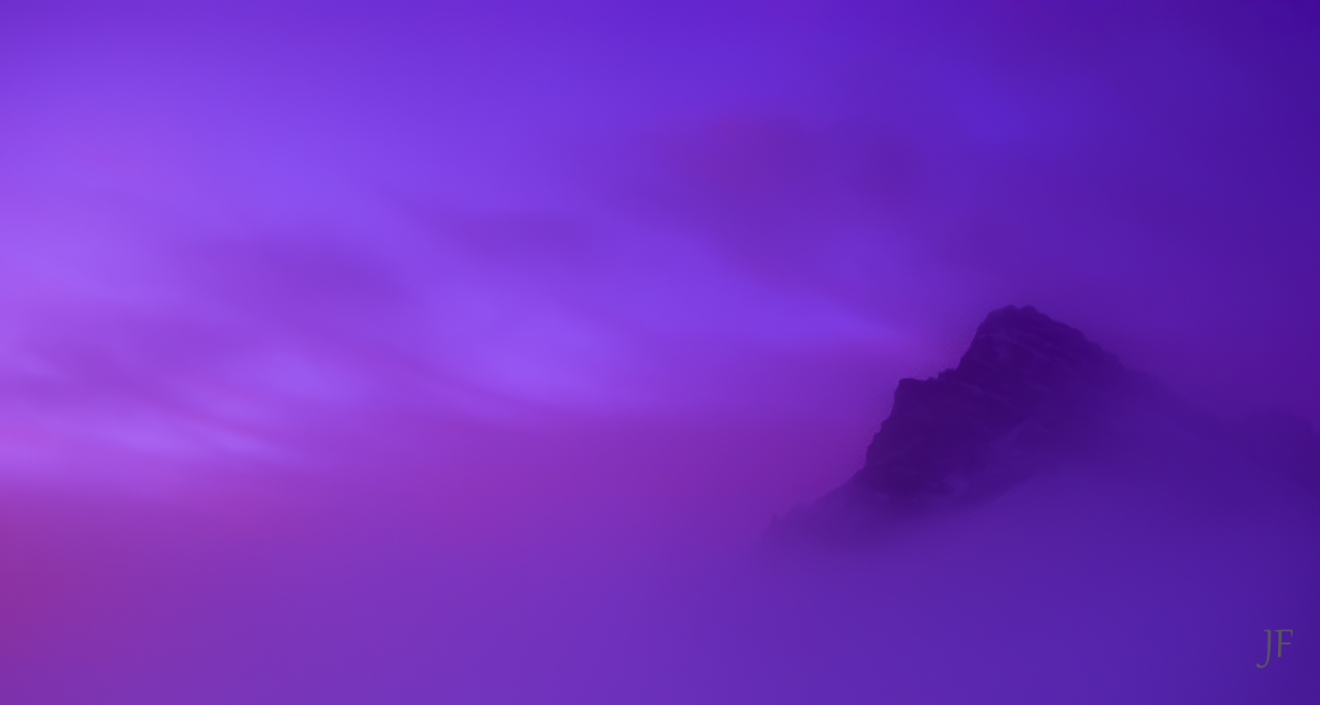 A Fleeting Glimpse