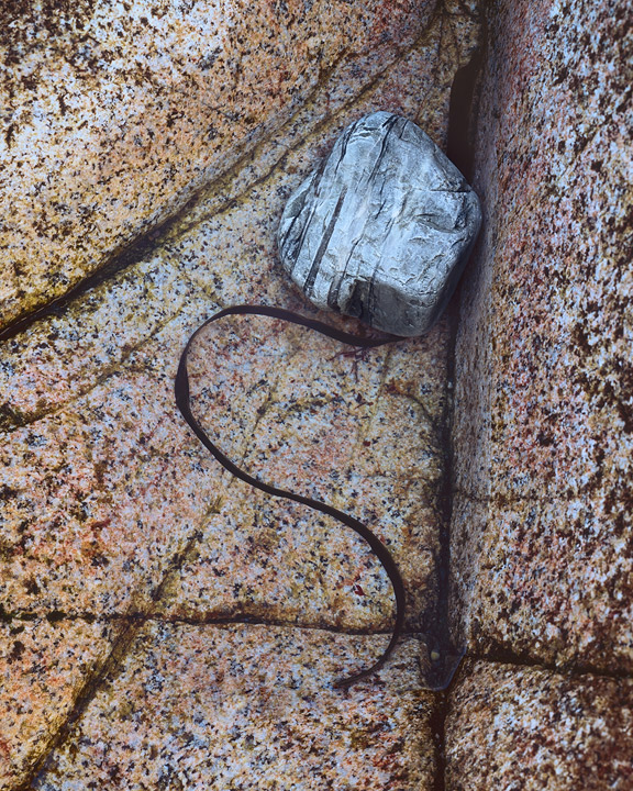 Rockpool