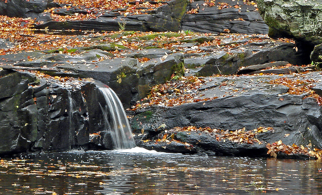 Autumn Pool