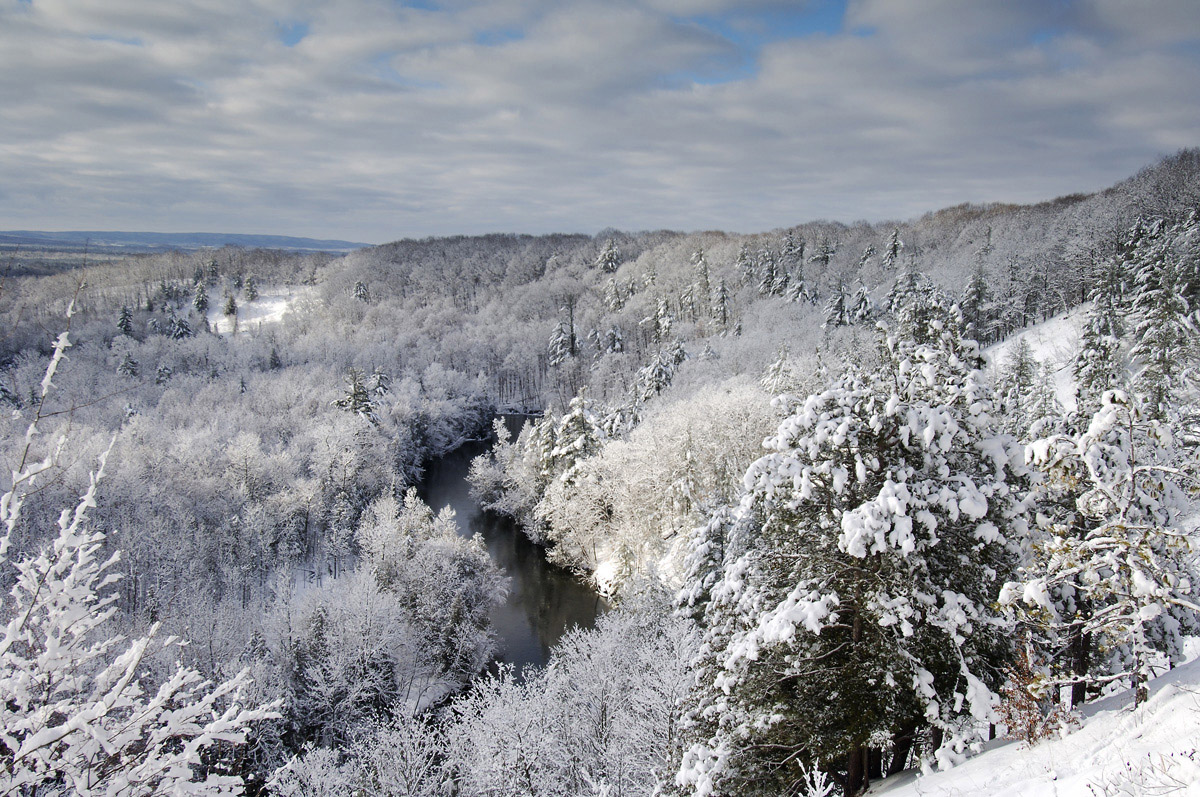 Manistee River Winter