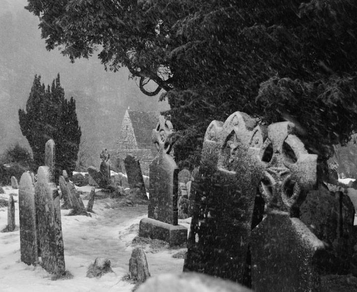 Snowy Peace