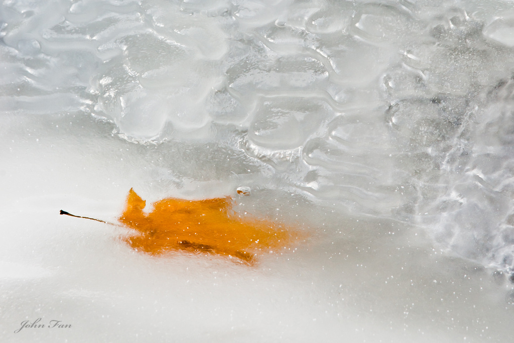 Frozen Memory