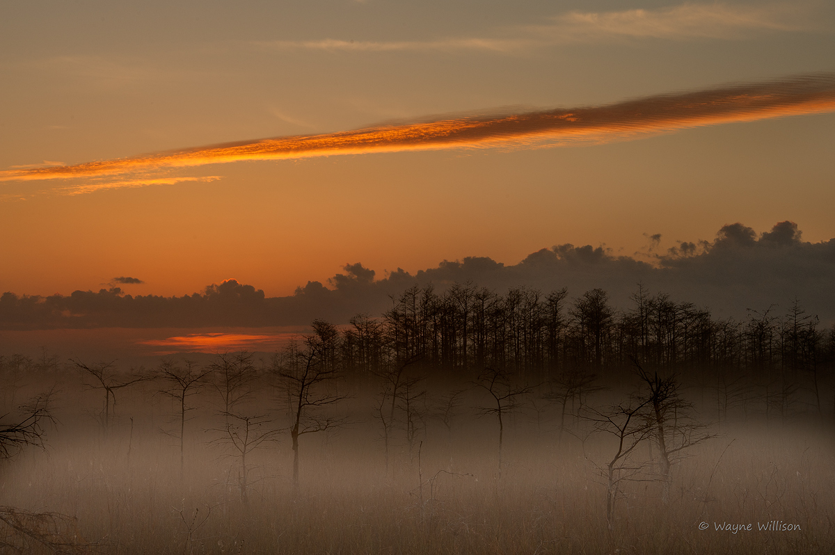 Band of Fog