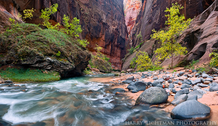 Narrows - Wide