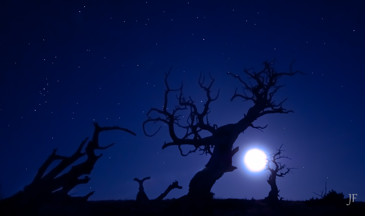 Moon Dance