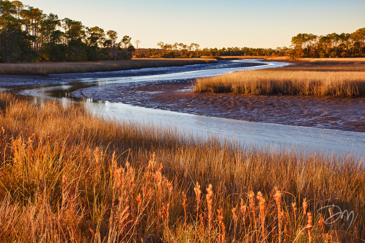 St. Marks Marsh