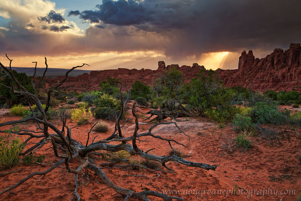 Desert Storm