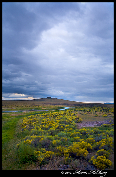 Conejos County