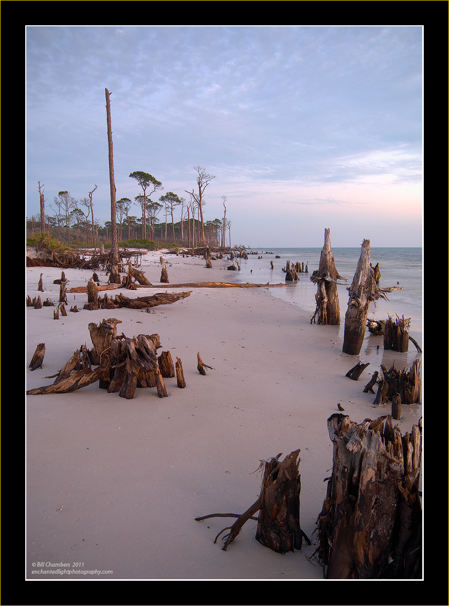 Hurricane Damage