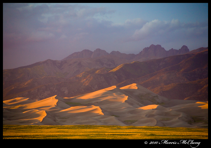 Dune Delight