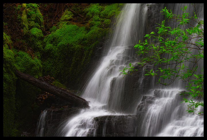 Fairy Falls