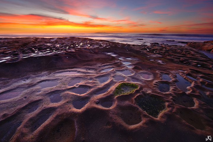 Alien Coast