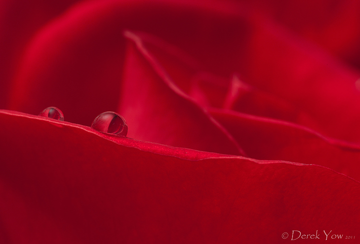 Edge of Beauty
