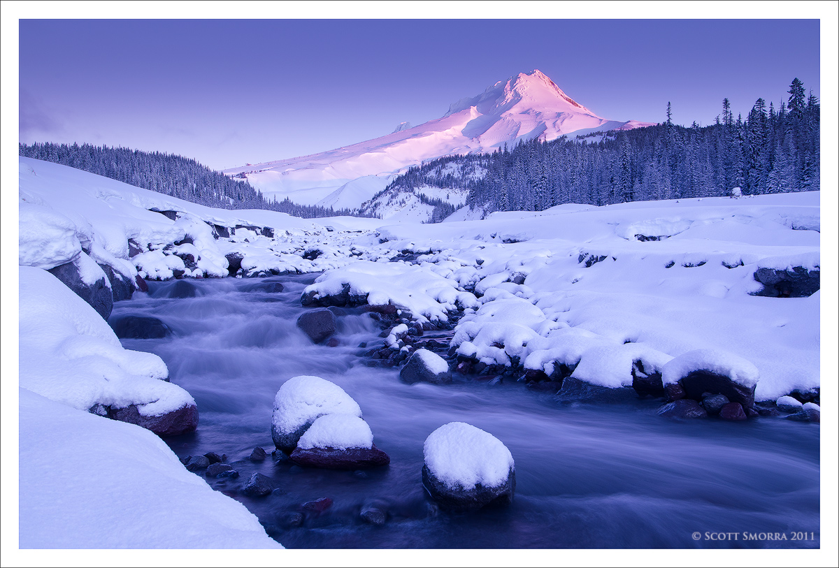 Winter Majestic + repost