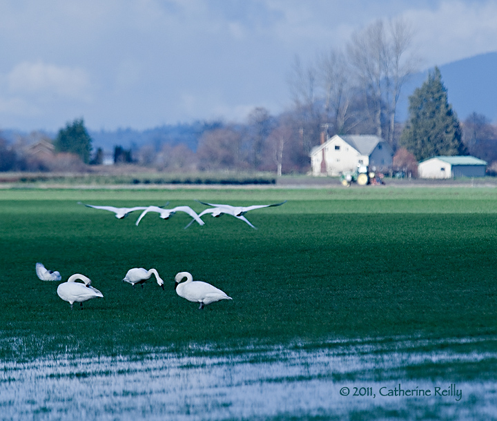 Wintering Over