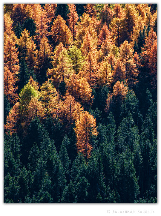 Transition