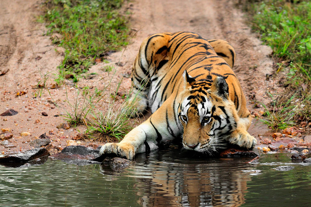 Kariya Ghati Male