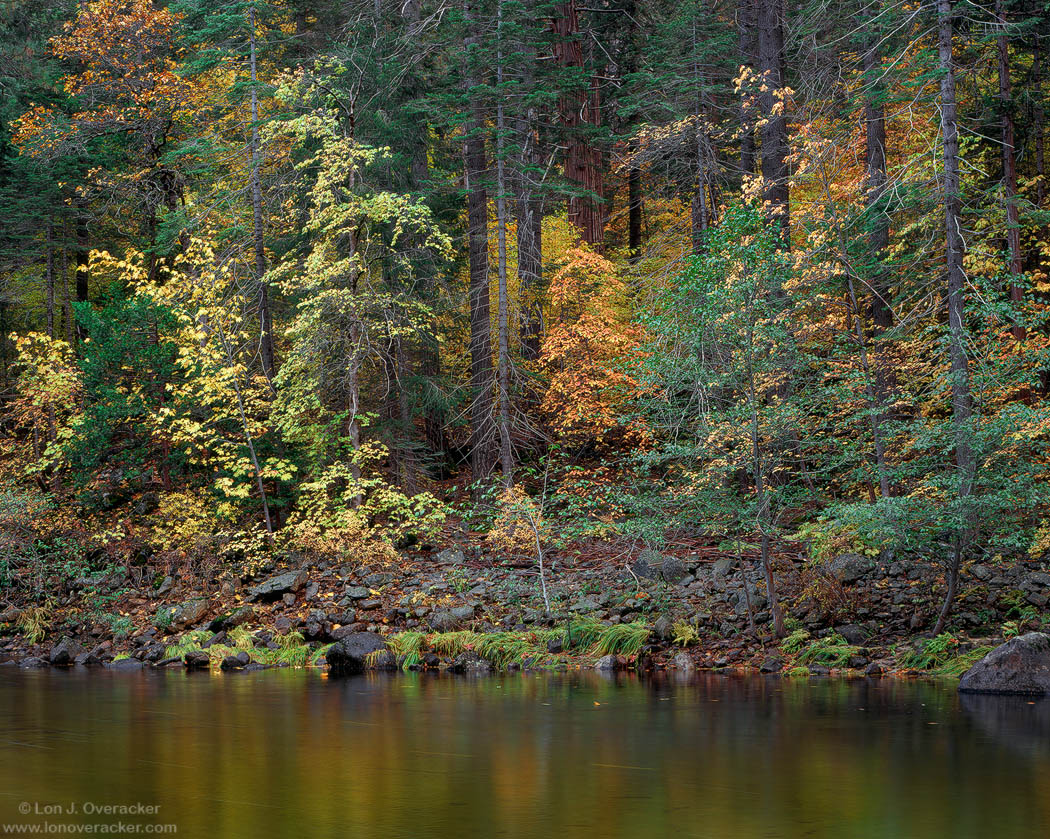 Gathering of Autumn