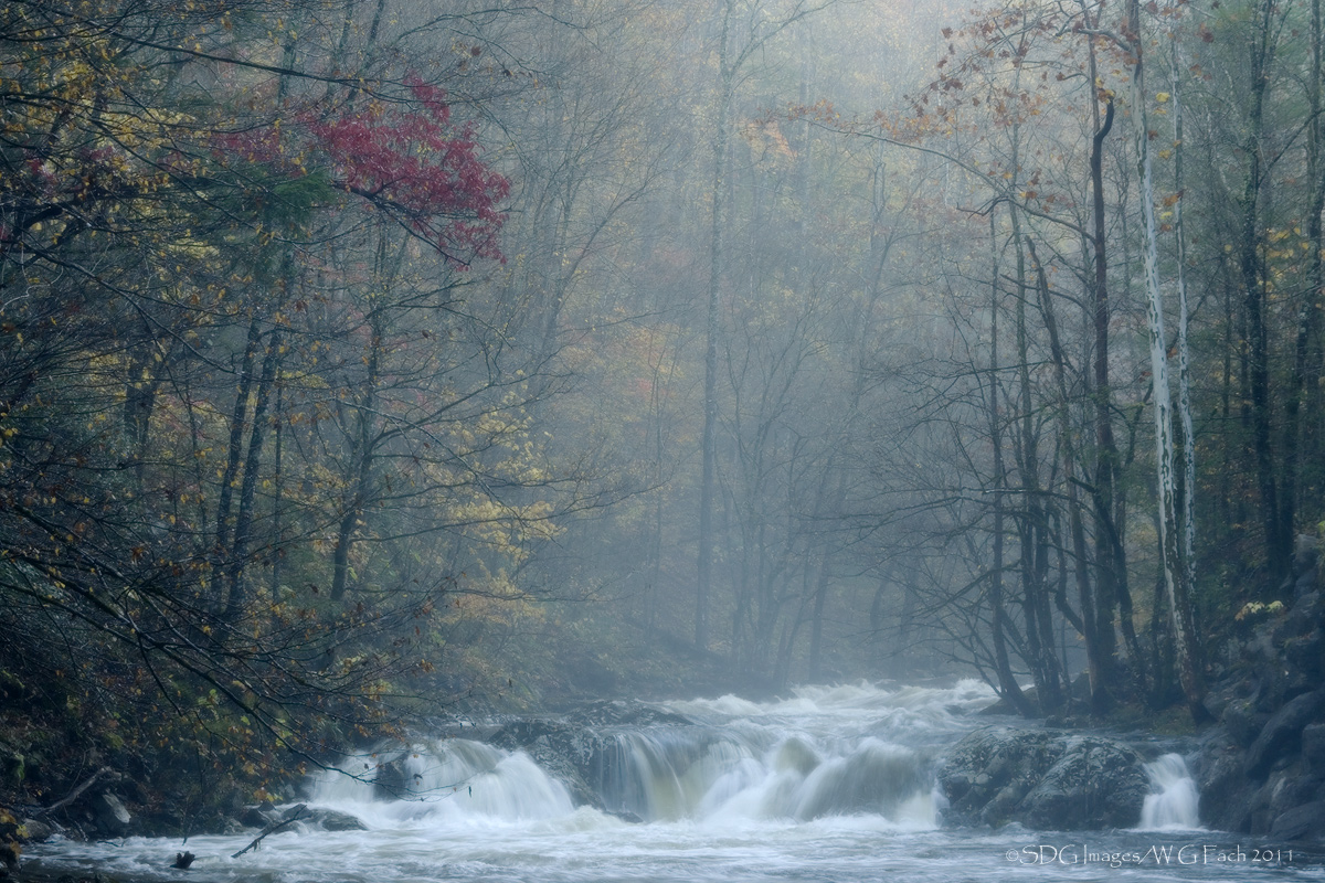 Misty River 2