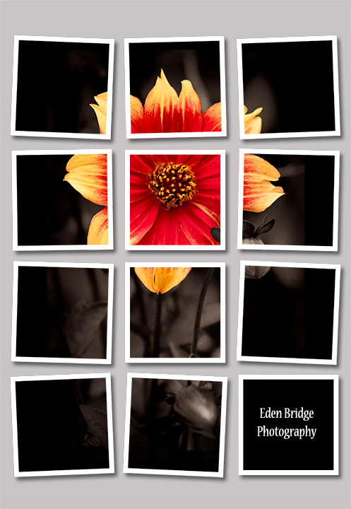Playing with Photoshop