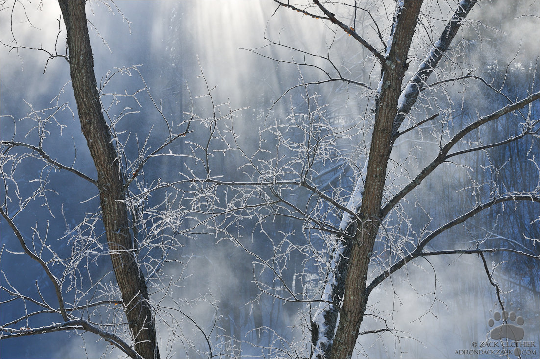 In Light Of Winter
