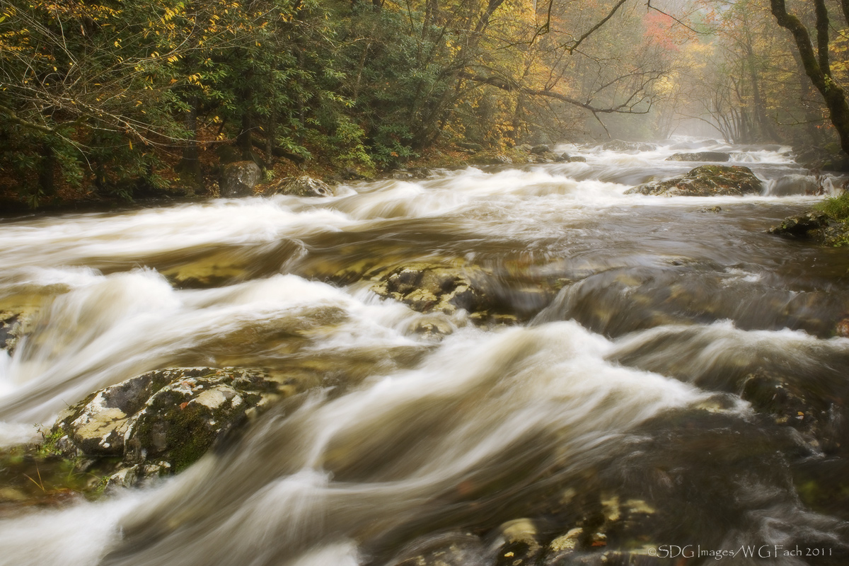 Misty River 3