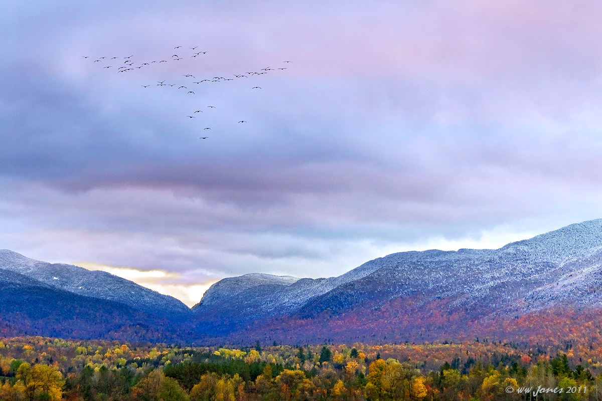 Flyway Through The Pass