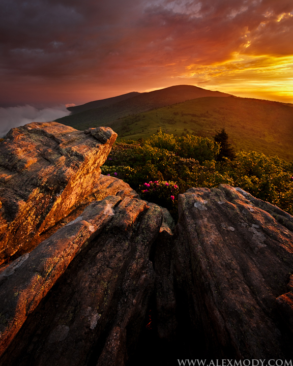 Roan Sunset